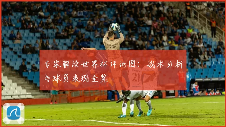 专家解读世界杯评论图：战术分析与球员表现全览