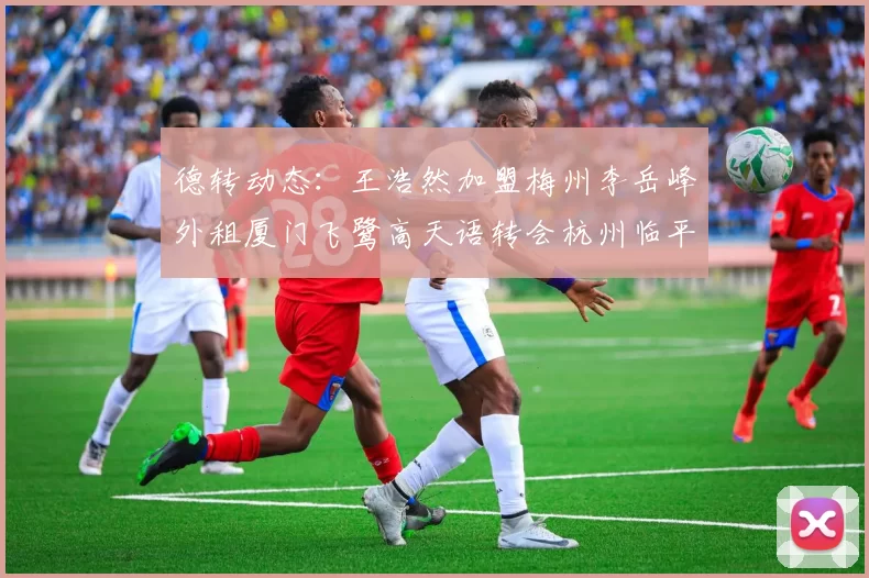 德转动态：王浩然加盟梅州李岳峰外租厦门飞鹭高天语转会杭州临平吴越