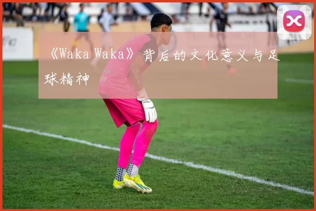 《Waka Waka》背后的文化意义与足球精神