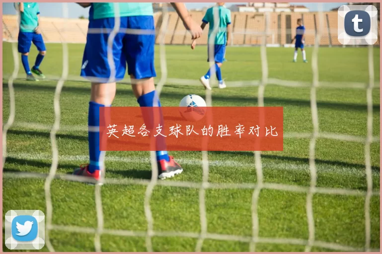 英超各支球队的胜率对比