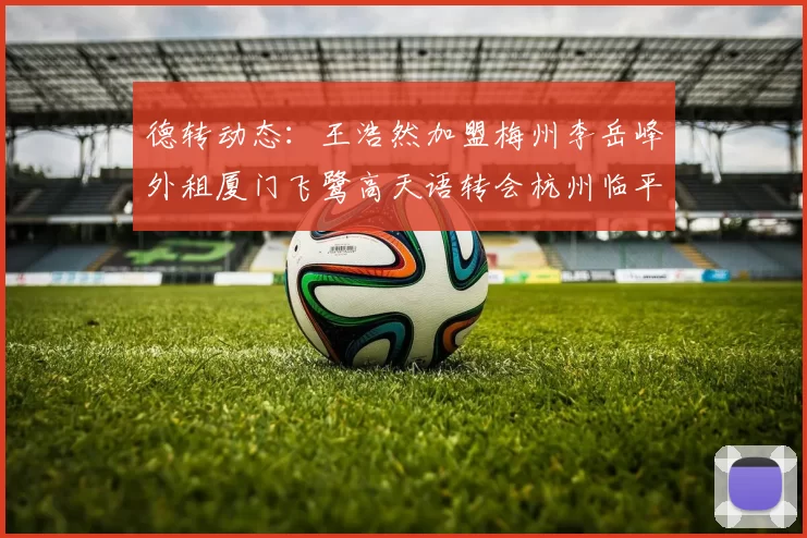 德转动态:王浩然加盟梅州李岳峰外租厦门飞鹭高天语转会杭州临平吴越