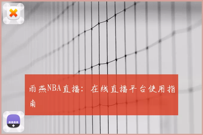 雨燕NBA直播：在线直播平台使用指南