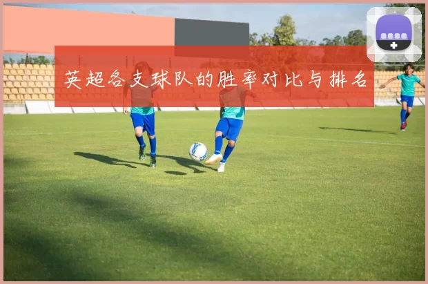 英超各支球队的胜率对比与排名
