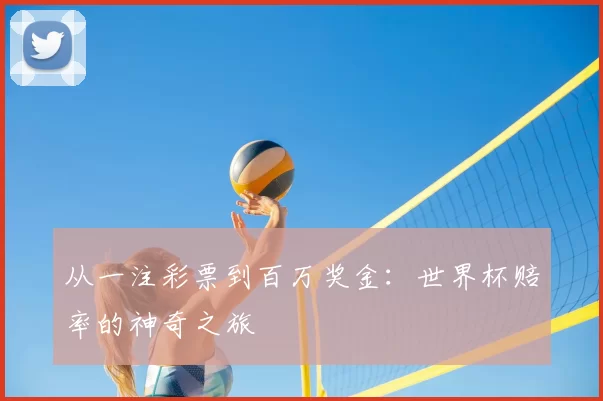 从一注彩票到百万奖金：世界杯赔率的神奇之旅
