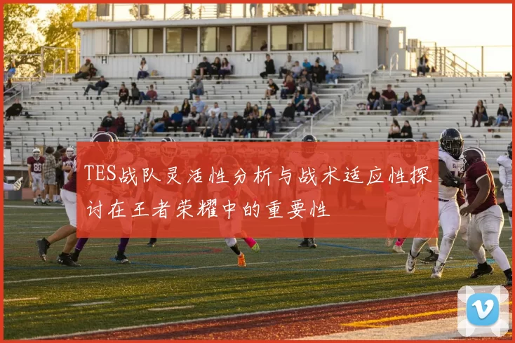 TES战队灵活性分析与战术适应性探讨在王者荣耀中的重要性