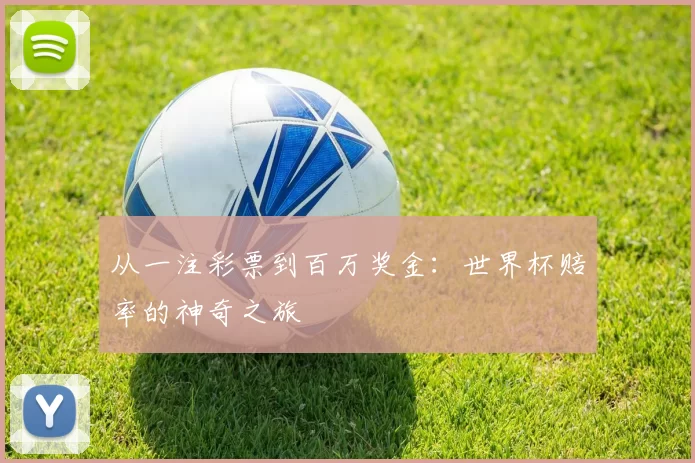 从一注彩票到百万奖金：世界杯赔率的神奇之旅