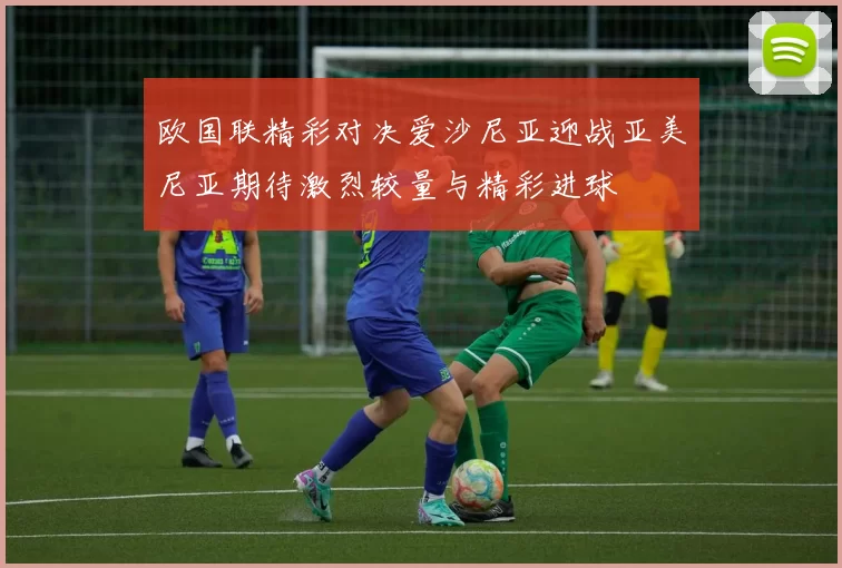 欧国联精彩对决爱沙尼亚迎战亚美尼亚期待激烈较量与精彩进球