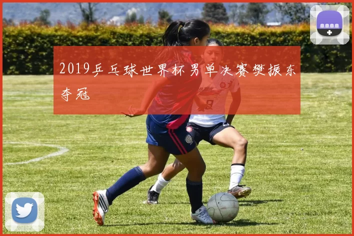 2019乒乓球世界杯男单决赛樊振东夺冠