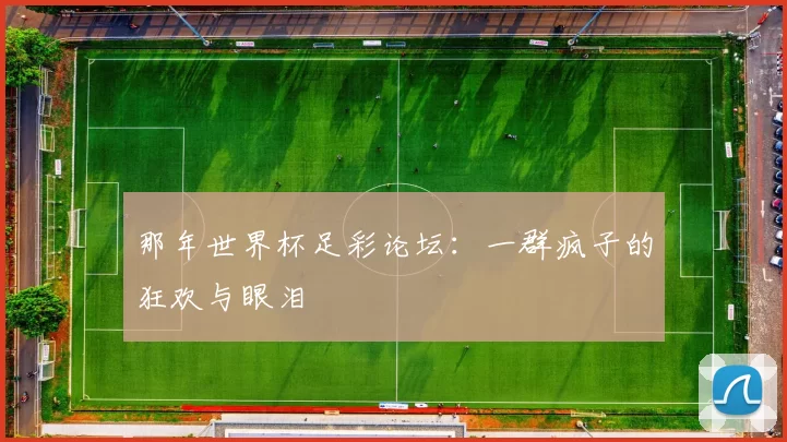那年世界杯足彩论坛:一群疯子的狂欢与眼泪
