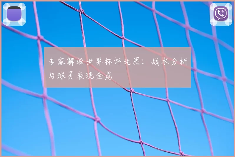 专家解读世界杯评论图：战术分析与球员表现全览
