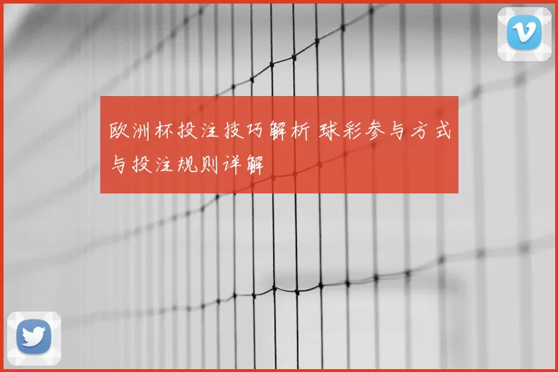 欧洲杯投注技巧解析 球彩参与方式与投注规则详解