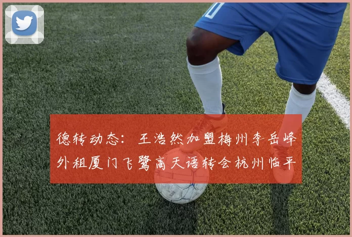 德转动态：王浩然加盟梅州李岳峰外租厦门飞鹭高天语转会杭州临平吴越