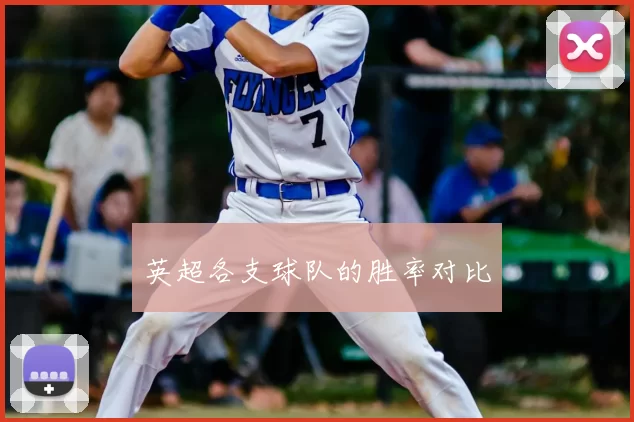 英超各支球队的胜率对比