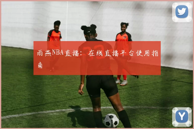 雨燕NBA直播：在线直播平台使用指南
