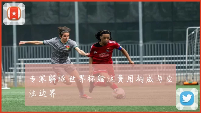 专家解读世界杯赌注费用构成与合法边界
