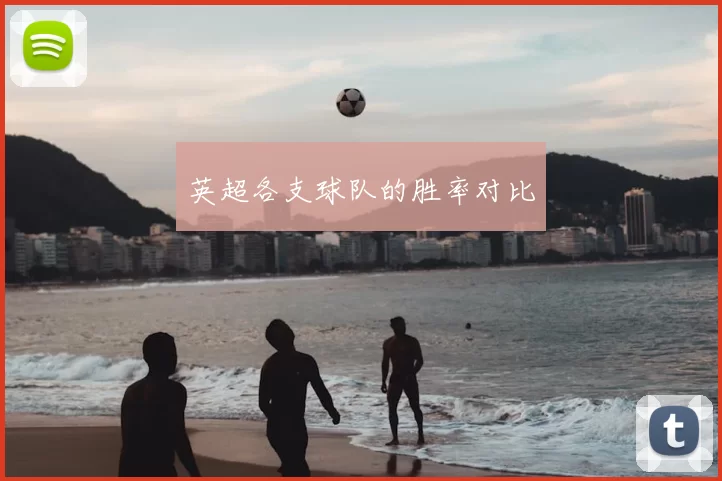 英超各支球队的胜率对比