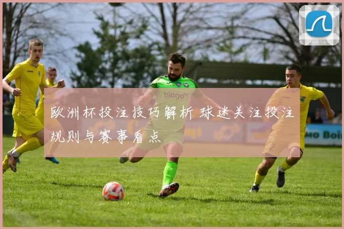 欧洲杯投注技巧解析 球迷关注投注规则与赛事看点